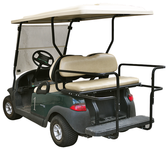 Assistenza Golf Car